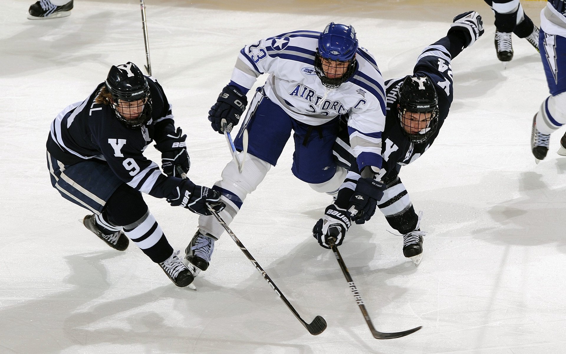 _夜色彩跑:在灯光中点亮运动热情_,色彩夜景